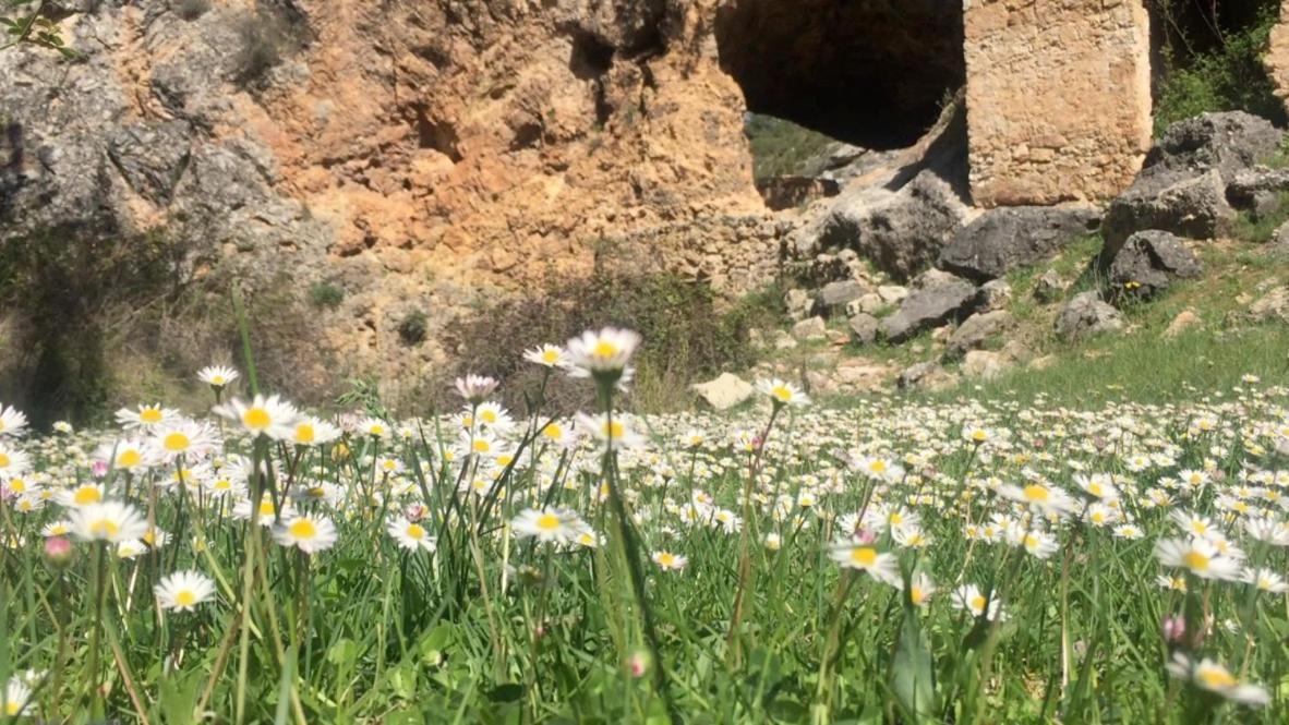 La Reserva Pajaroncillo Εξωτερικό φωτογραφία